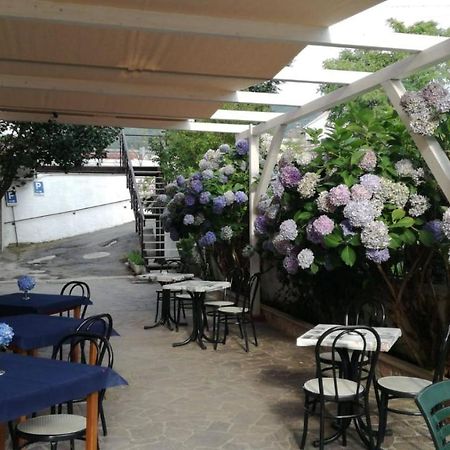 Hotel Caligiuri Decollatura Ngoại thất bức ảnh